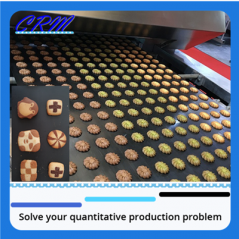 CRM-TCCD multi color multi-shape cookie production line /cookie machine manufacturer/cookie processing line